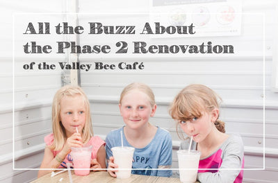 All the Buzz About the Phase 2 Renovation of the Valley Bee Café