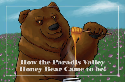 How the Paradis Valley Honey Bear Came to be!