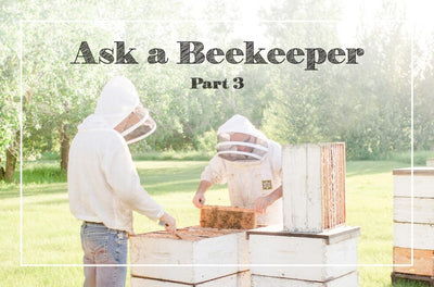 Ask a Beekeeper: Part 3